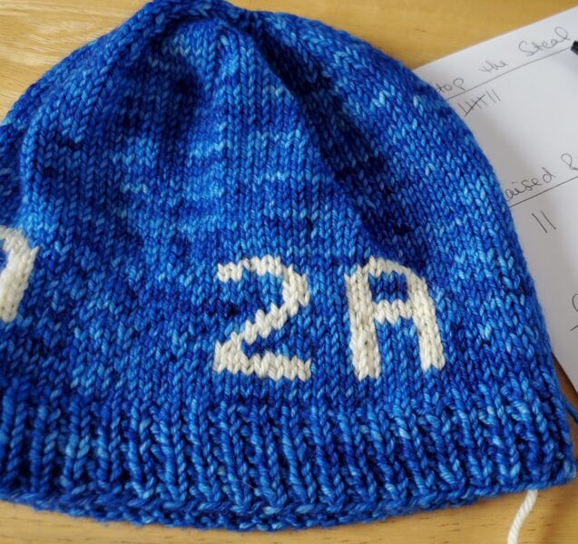 Defend 2A finished hat