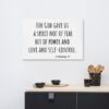God Gave Us Canvas