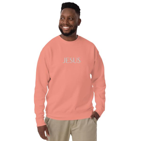 Jesus Name Above All Names Unisex Premium Sweatshirt - Image 9