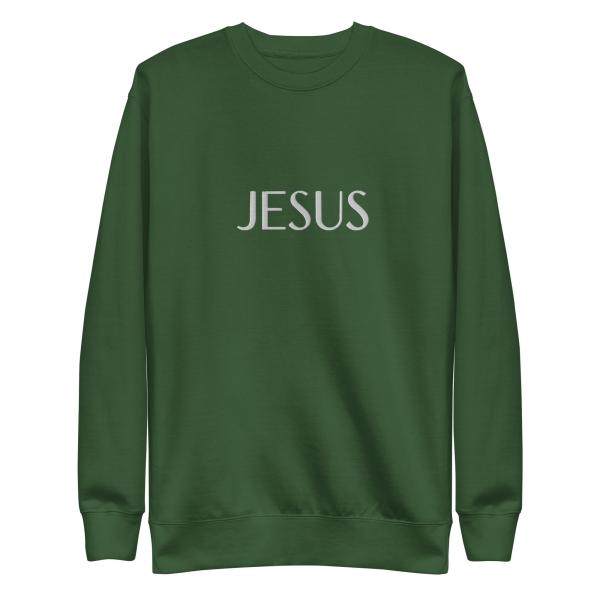Jesus Name Above All Names Unisex Premium Sweatshirt - Image 21