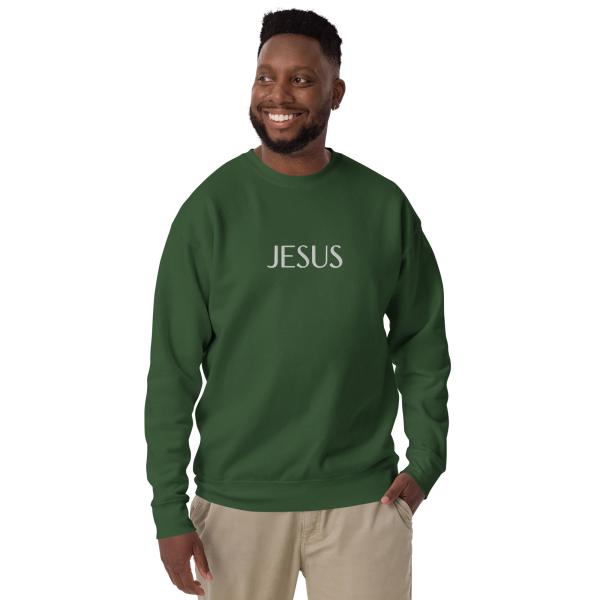 Jesus Name Above All Names Unisex Premium Sweatshirt - Image 23