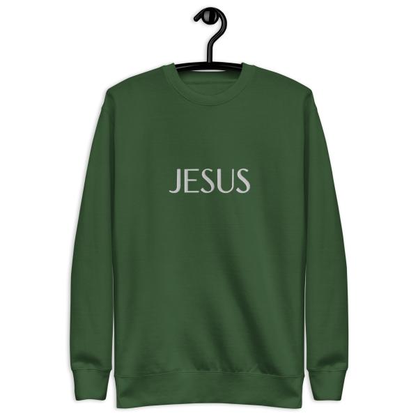 Jesus Name Above All Names Unisex Premium Sweatshirt - Image 58