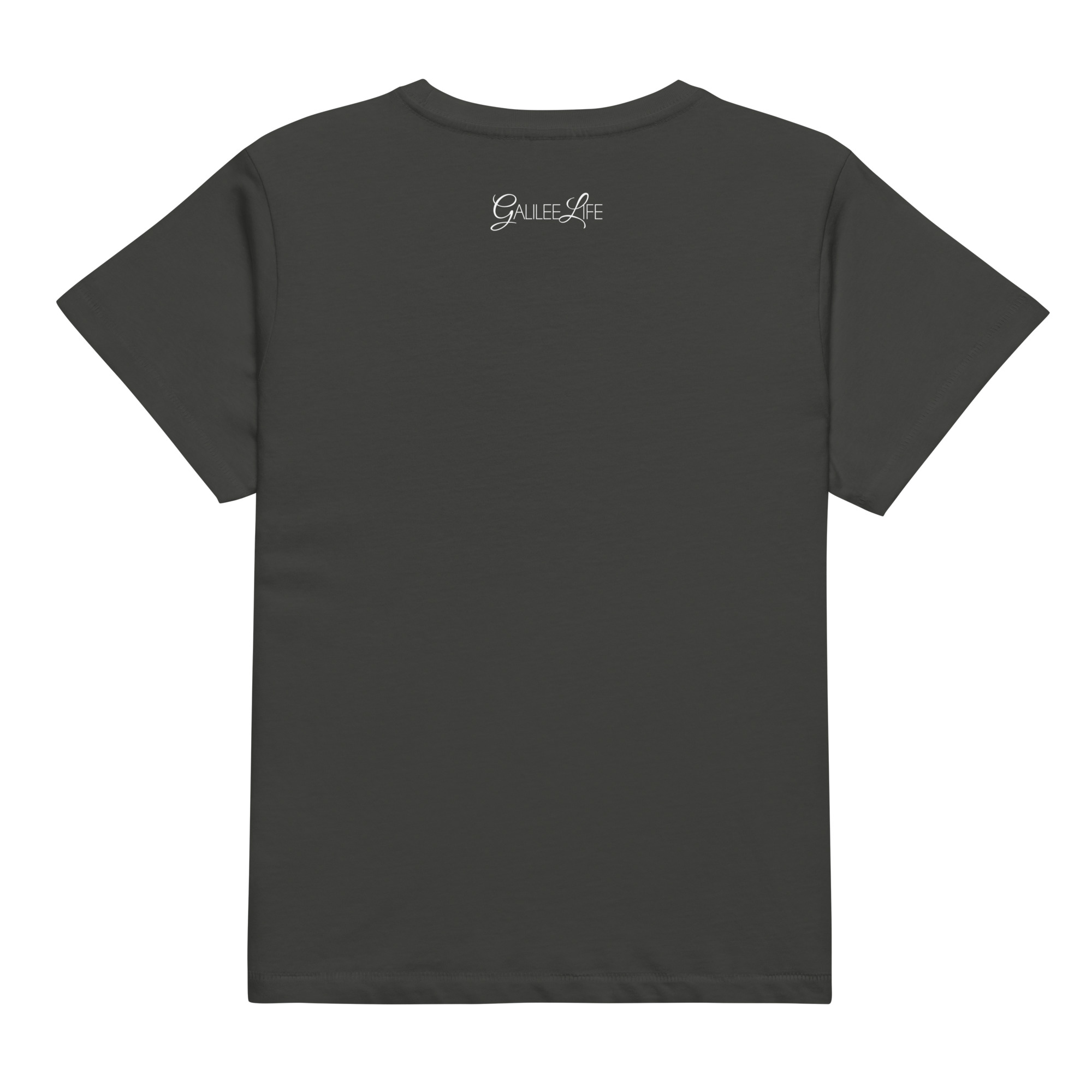 This World Is Not Our Home Women’s High-Waisted T-shirt - Image 13