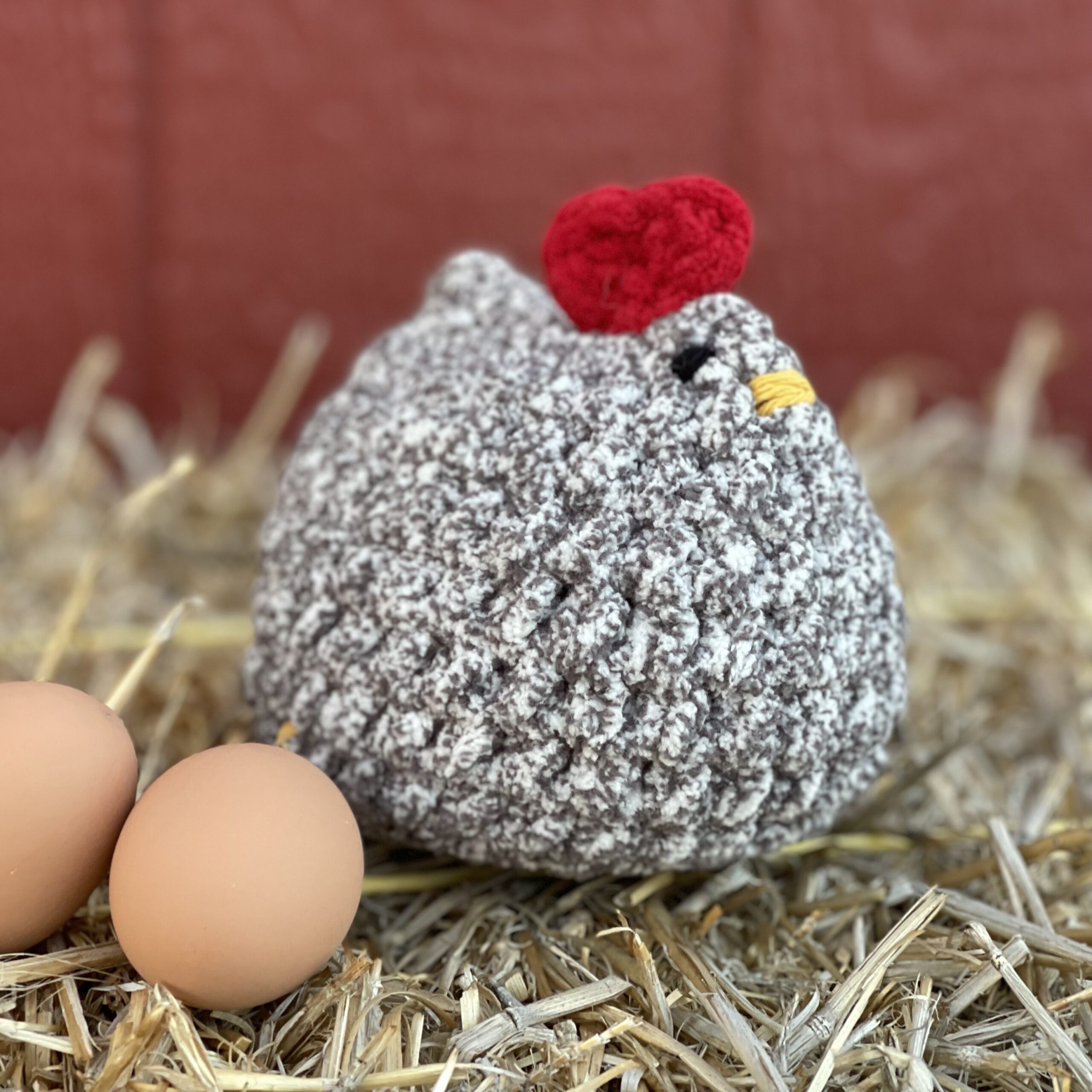 Betsy, the Beloved Barred Rock - Image 2