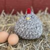 Betsy, the Beloved Barred Rock