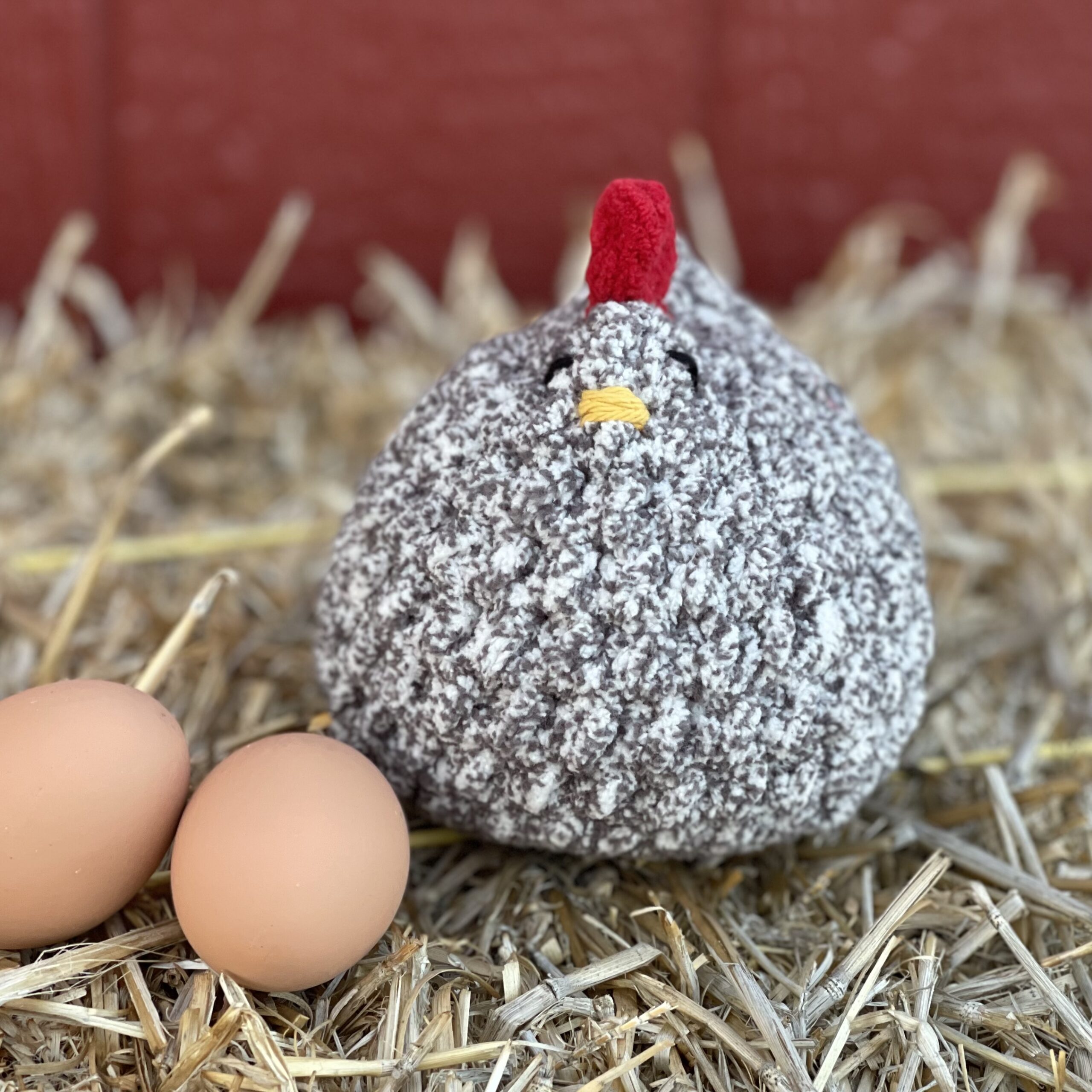 Betsy, the Beloved Barred Rock