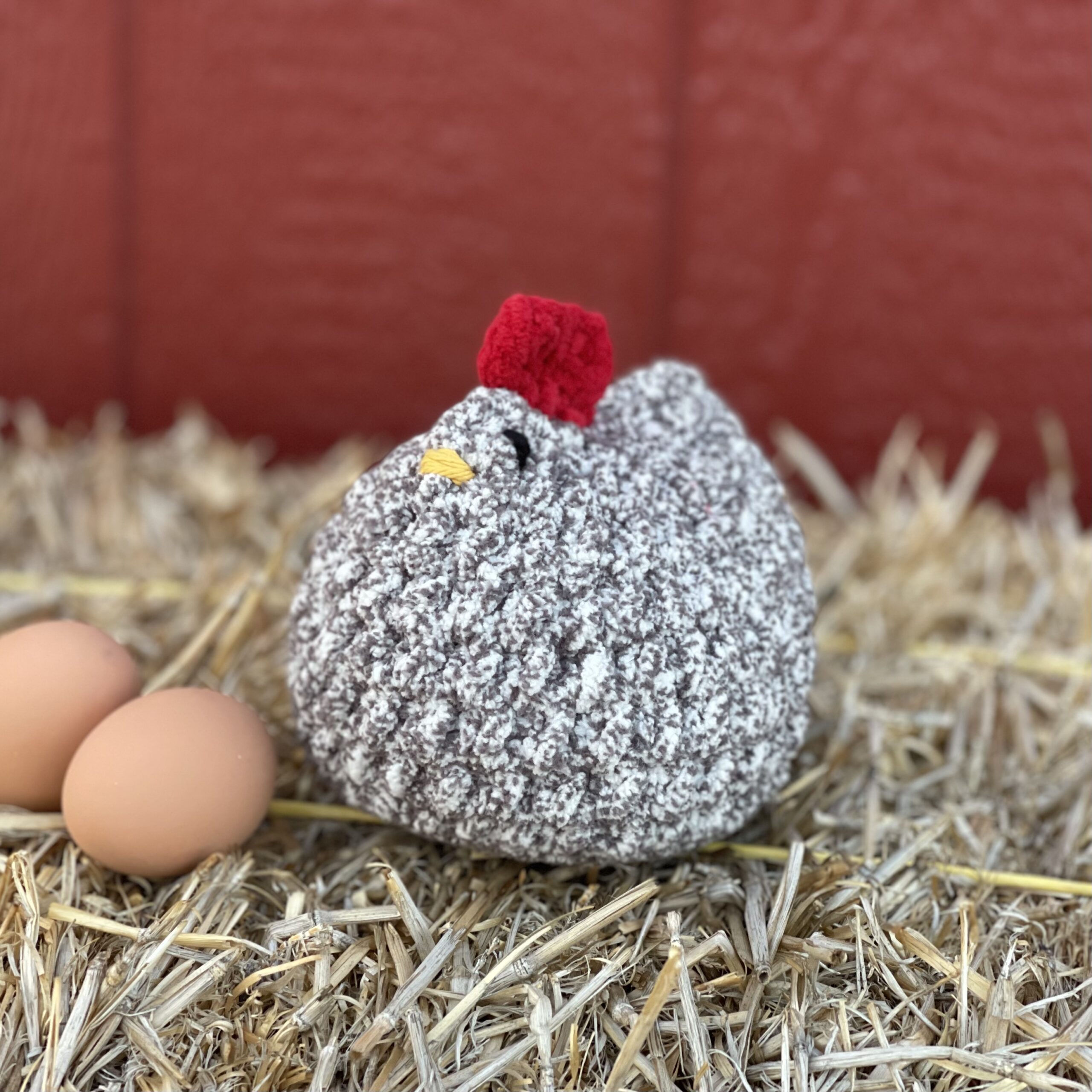 Betsy, the Beloved Barred Rock - Image 3
