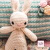 Benny the Bunny
