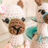 Llama Love