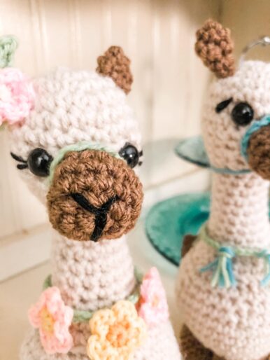 Llama Love