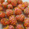Freeze Dried Nervels Clusters