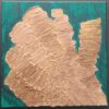 Conifers