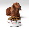 My Family Loves Jesus Pet Bowl