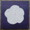 Moonflower