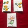 Set of 3 blank note cards