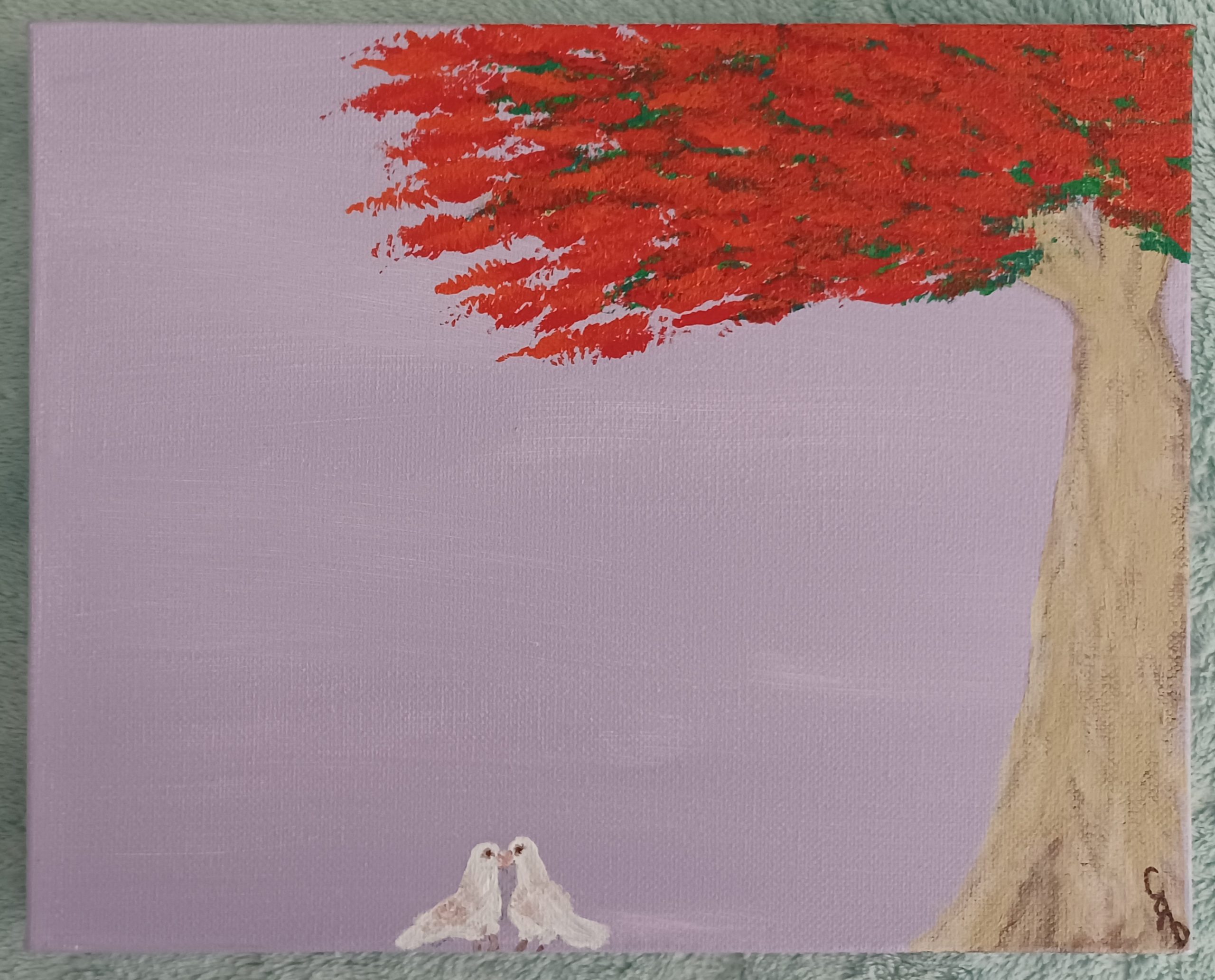 Postcard: Shelter