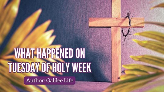 What happened on Tuesday of Holy Week - Galilee Life Christian Marketplace - Devotional Blog Post