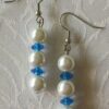 Winter Palette Dangle Earrings
