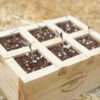6-Cell Cedar Seedling Tray & Planter
