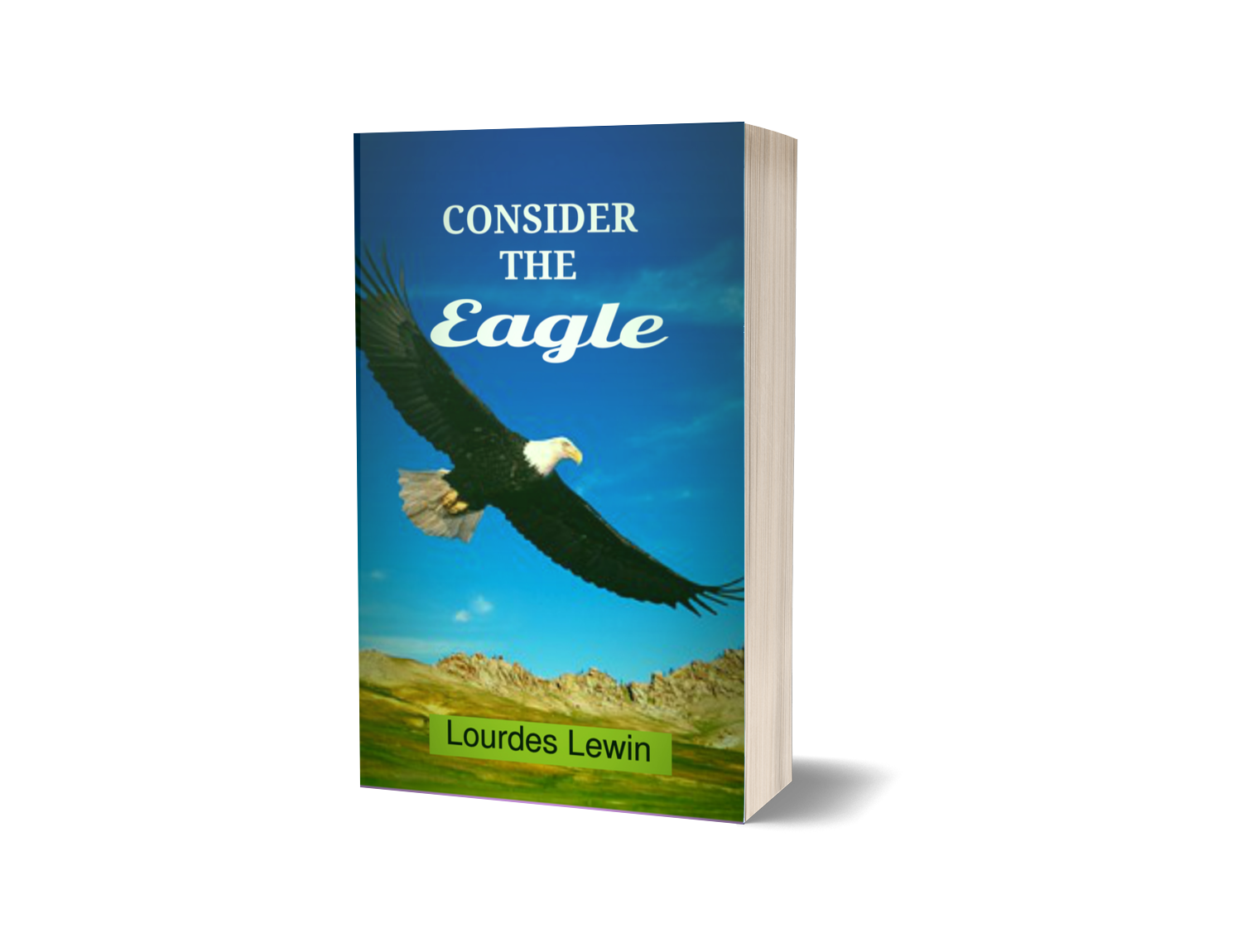 Consider the Eagle