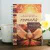 Romans: An All-in-One Study on Salvation and New Life