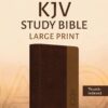 The KJV Study Bible, Large Print (Indexed) [Two-Tone Brown]