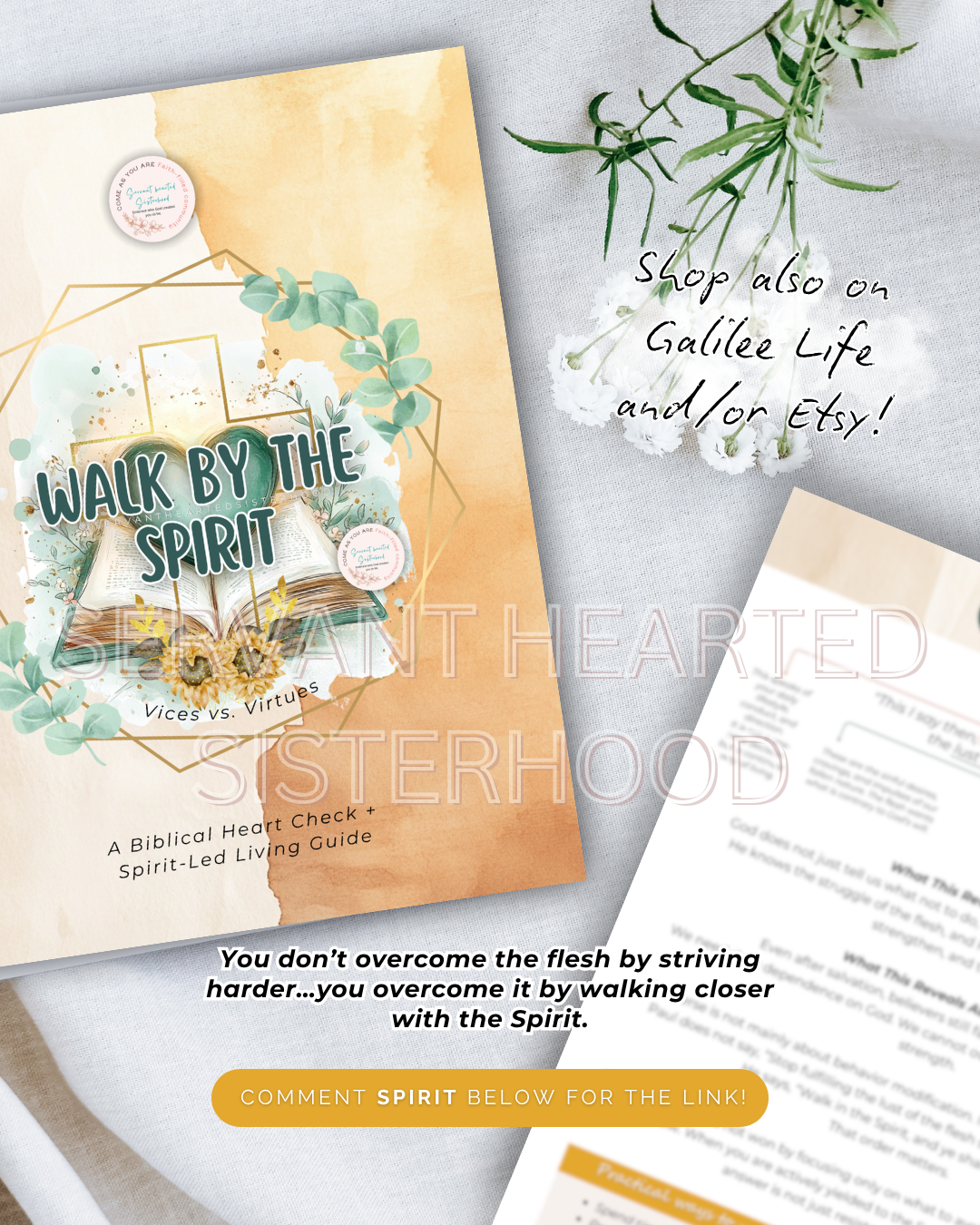 SHS Walk By The Spirit: Vices vs. Virtues (Instant Download) - Image 4