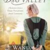 The Return to the Big Valley