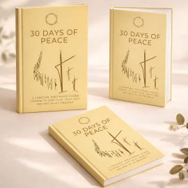 3 Harcover peace journals