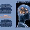The Zila Katz Files: Book One: Confabultaion