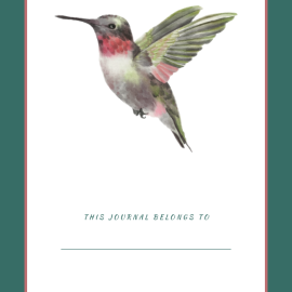 Interior journal page with a teal border, a watercolor hummingbird centered on a white background above the text "This journal belongs to" and a blank line for a name.