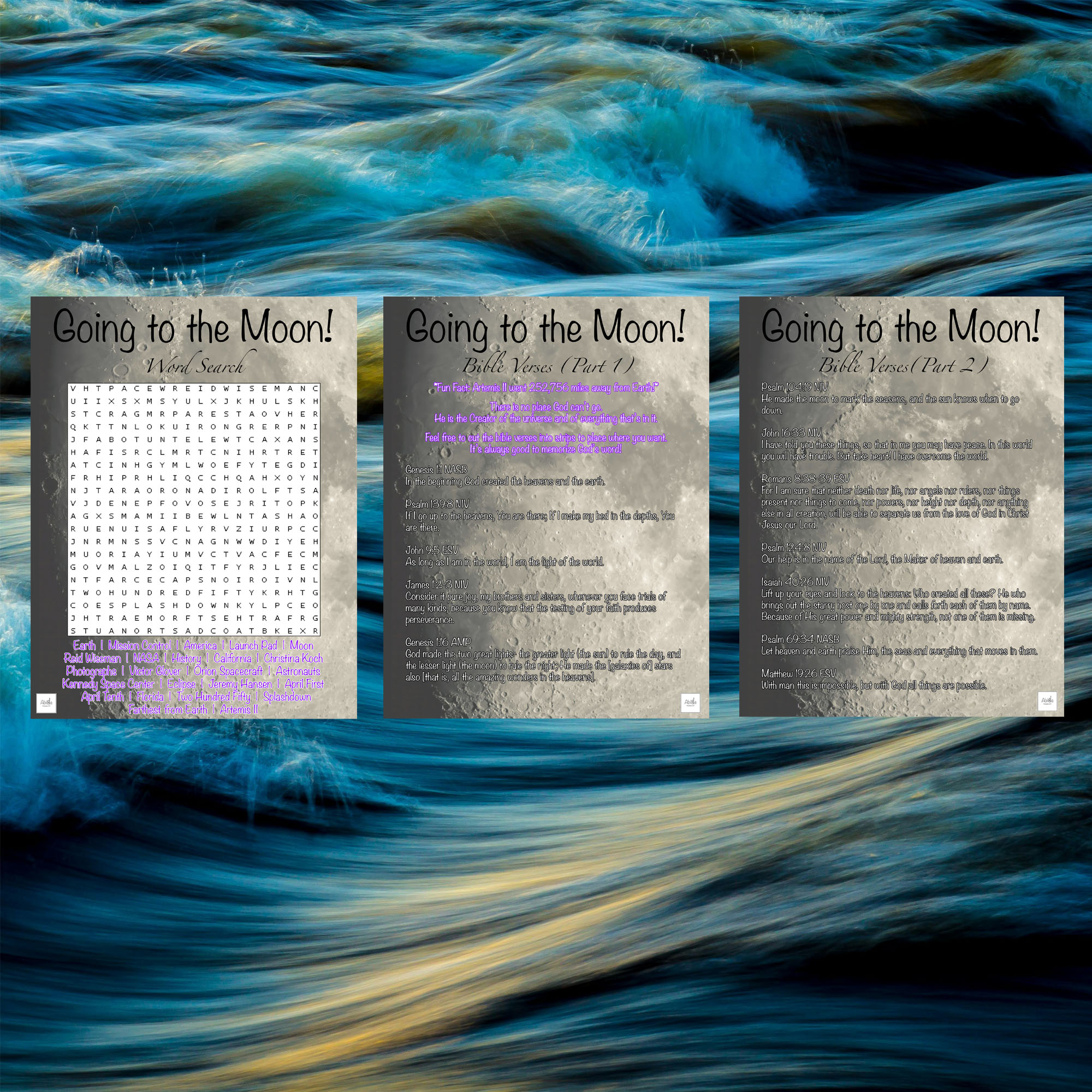 Going to the Moon Word Search