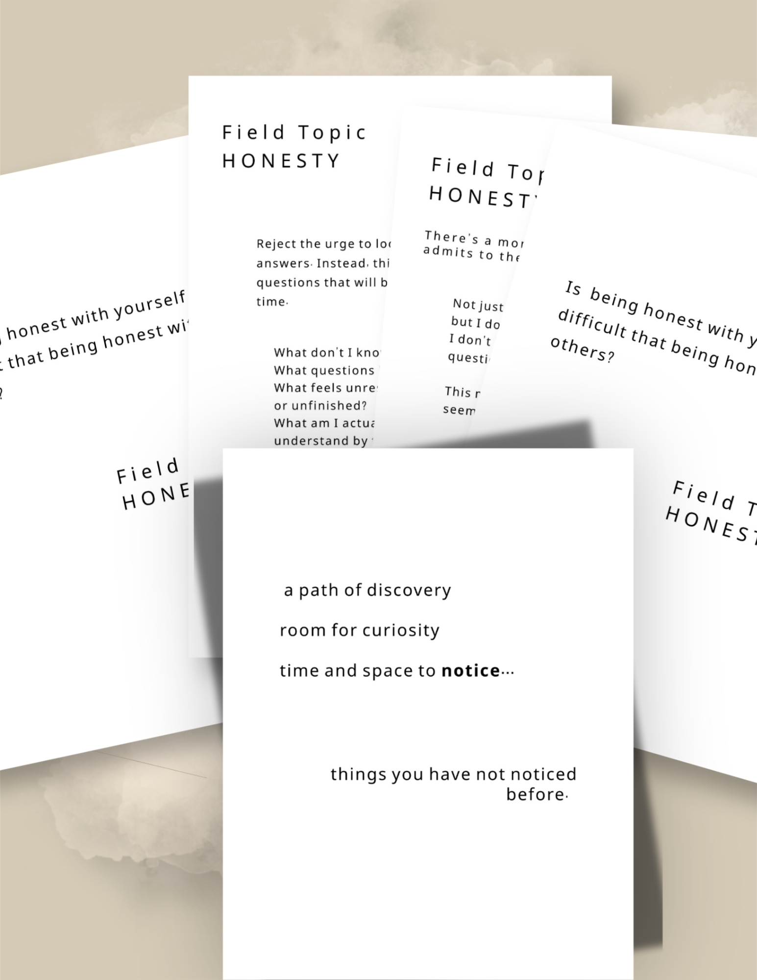 Field Journal | Guiided Reflection Through Beliefs | - Image 13