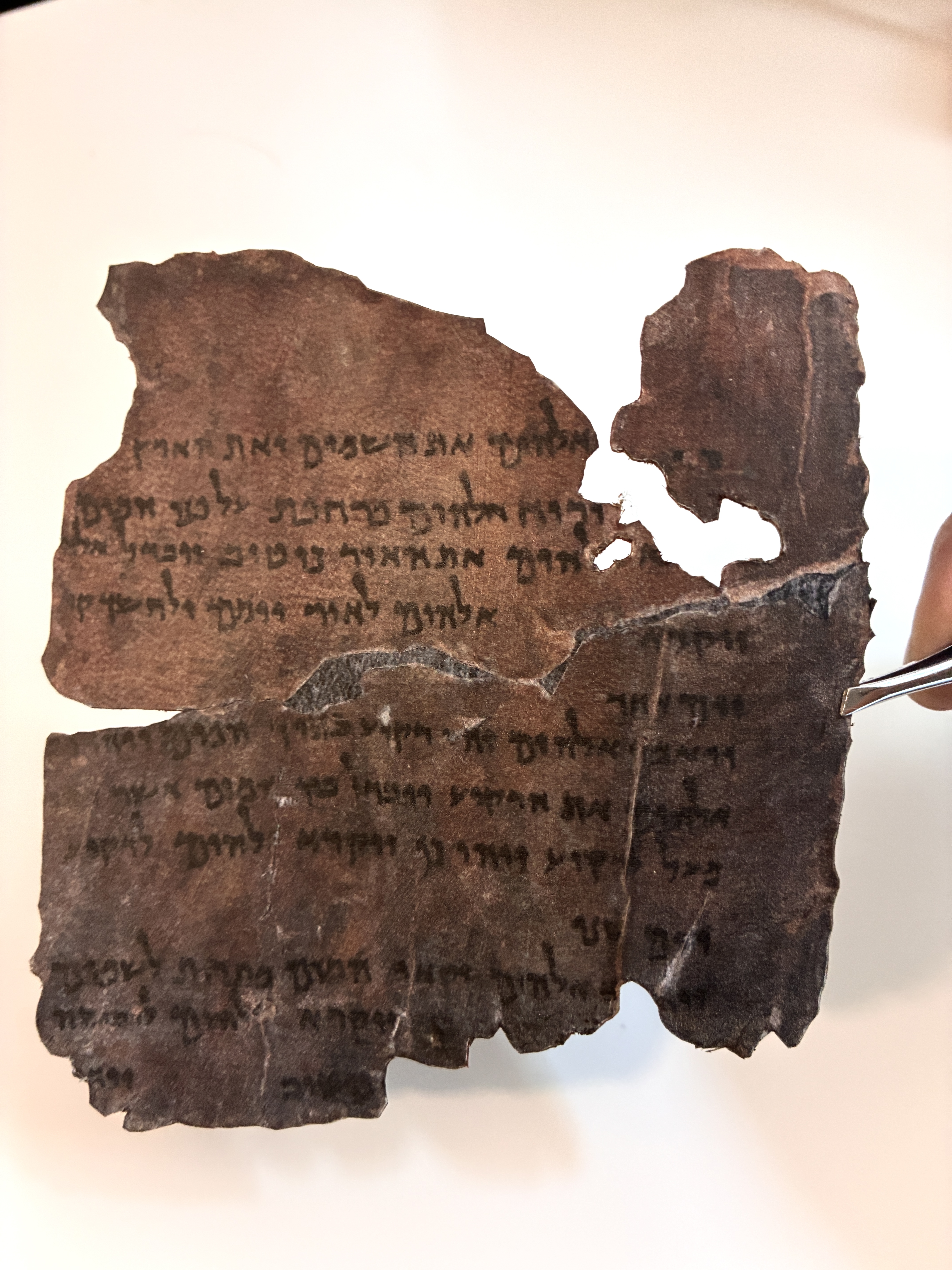 In the Beginning God Created | Genesis 1 Dead Sea Scroll on Authentic Goat Vellum | 4Q7 Manuscript | Master-crafted Replica - Image 3