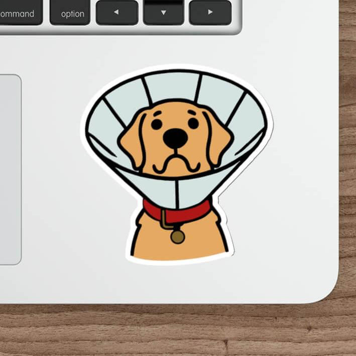Dog Cone Cartoon Sticker