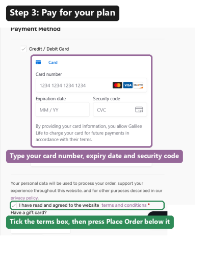 The payment page: the card box on the right and the terms checkbox under it